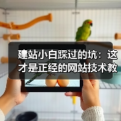 建站小白踩过的坑：这才是正经的网站技术教程