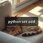 python set add