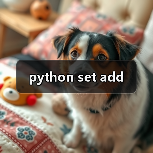 python set add(图2) python set add(图2)