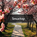 linuxtop(图4) linuxtop(图4)