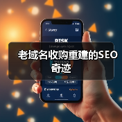 老域名收购重建的SEO奇迹（图4）