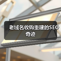 老域名收购重建的SEO奇迹（图3）