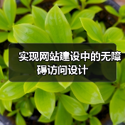 实现网站建设中的无障碍访问设计(图1) 实现网站建设中的无障碍访问设计(图1)
