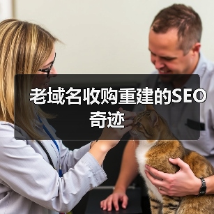 老域名收购重建的SEO奇迹（图2）