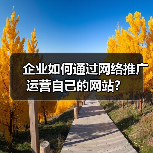 企业如何通过网络推广运营自己的网站?(图2) 企业如何通过网络推广运营自己的网站?(图2)