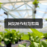 网站制作规范指南(图3) 网站制作规范指南(图3)