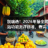 别瞎选!2026年最全网站功能测评标准,看完少走3年弯路(图3) 别瞎选!2026年最全网站功能测评标准,看完少走3年弯路(图3)