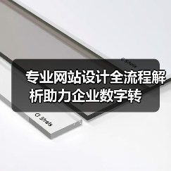 专业网站设计全流程解析助力企业数字转(图2) 专业网站设计全流程解析助力企业数字转(图2)