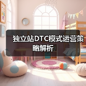 独立站DTC模式运营策略解析(图4) 独立站DTC模式运营策略解析(图4)