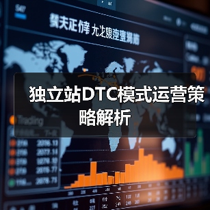 独立站DTC模式运营策略解析(图3) 独立站DTC模式运营策略解析(图3)
