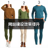 网站建设效果提升（图1）