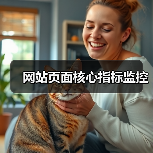 网站页面核心指标监控(图2) 网站页面核心指标监控(图2)