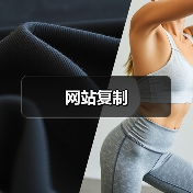 网站复制(图1) 网站复制(图1)
