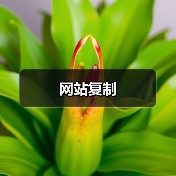 网站复制(图3) 网站复制(图3)