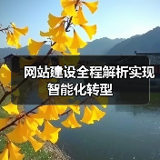 网站建设全程解析实现智能化转型(图2) 网站建设全程解析实现智能化转型(图2)