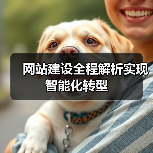 网站建设全程解析实现智能化转型(图4) 网站建设全程解析实现智能化转型(图4)