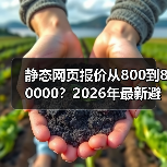 静态网页报价从800到80000?2026年最新避坑指南(图4) 静态网页报价从800到80000?2026年最新避坑指南(图4)