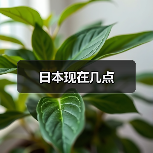 日本现在几点(图3) 日本现在几点(图3)