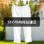 SEO导向网站建设(图3) SEO导向网站建设(图3)