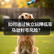 如何通过独立站降低亚马逊封号风险?(图2) 如何通过独立站降低亚马逊封号风险?(图2)