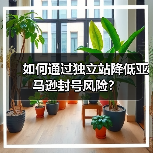 如何通过独立站降低亚马逊封号风险?(图1) 如何通过独立站降低亚马逊封号风险?(图1)