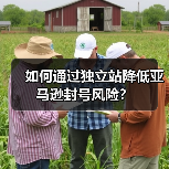 如何通过独立站降低亚马逊封号风险?(图4) 如何通过独立站降低亚马逊封号风险?(图4)