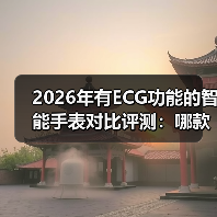 2026年有ECG功能的智能手表对比评测:哪款才是你的“心脏卫士”?(图3) 2026年有ECG功能的智能手表对比评测:哪款才是你的“心脏卫士”?(图3)