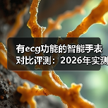 有ecg功能的智能手表对比评测:2026年实测5款爆款,结果意外(图2) 有ecg功能的智能手表对比评测:2026年实测5款爆款,结果意外(图2)