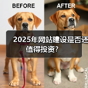 2025年网站建设是否还值得投资?(图2) 2025年网站建设是否还值得投资?(图2)