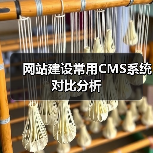 网站建设常用CMS系统对比分析(图3) 网站建设常用CMS系统对比分析(图3)