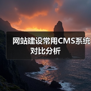 网站建设常用CMS系统对比分析(图2) 网站建设常用CMS系统对比分析(图2)