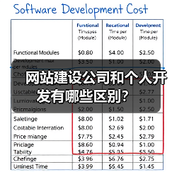 网站建设公司和个人开发有哪些区别？（图2）
