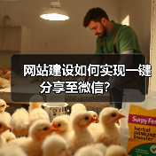 网站建设如何实现一键分享至微信？（图3）