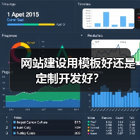 网站建设用模板好还是定制开发好？（图2）