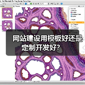 网站建设用模板好还是定制开发好？（图1）