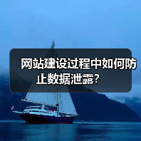 网站建设过程中如何防止数据泄露？（图1）