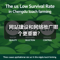 网站建设和网络推广哪个更重要?(图3) 网站建设和网络推广哪个更重要?(图3)