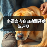 多语言内容自动翻译系统评测(图4) 多语言内容自动翻译系统评测(图4)