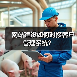 网站建设如何对接客户管理系统？（图4）