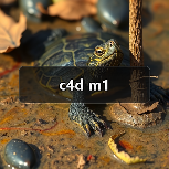 c4d m1(图1) c4d m1(图1)