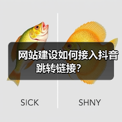 网站建设如何接入抖音跳转链接?(图2) 网站建设如何接入抖音跳转链接?(图2)