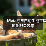 Meta标签自动生成工具优化SEO效率(图3) Meta标签自动生成工具优化SEO效率(图3)