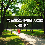 网站建设如何接入微信小程序?(图3) 网站建设如何接入微信小程序?(图3)