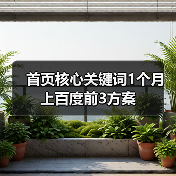 首页核心关键词1个月上百度前3方案(图2) 首页核心关键词1个月上百度前3方案(图2)