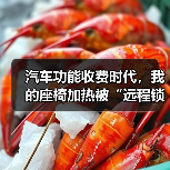 汽车功能收费时代,我的座椅加热被“远程锁死”了(图3) 汽车功能收费时代,我的座椅加热被“远程锁死”了(图3)