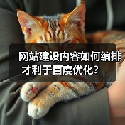 网站建设内容如何编排才利于百度优化?(图3) 网站建设内容如何编排才利于百度优化?(图3)
