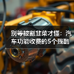 别等被割韭菜才懂:汽车功能收费的5个残酷真相(图1) 别等被割韭菜才懂:汽车功能收费的5个残酷真相(图1)