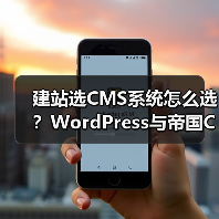 建站选CMS系统怎么选?WordPress与帝国CMS功能、安全性、性能对比分析(图1) 建站选CMS系统怎么选?WordPress与帝国CMS功能、安全性、性能对比分析(图1)