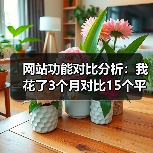 网站功能对比分析:我花了3个月对比15个平台,发现90%的人选错了(图1) 网站功能对比分析:我花了3个月对比15个平台,发现90%的人选错了(图1)