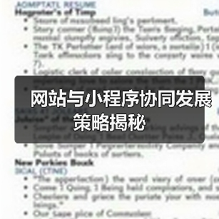 网站与小程序协同发展策略揭秘(图1) 网站与小程序协同发展策略揭秘(图1)